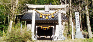 別所谷八幡神社の写真